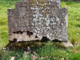 image of grave number 224806